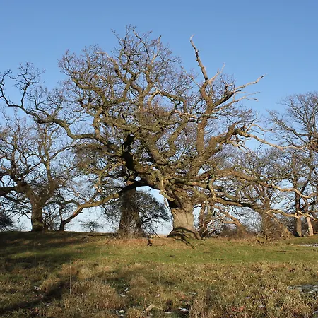 Fuglsang Herregaard Hotell Toreby
